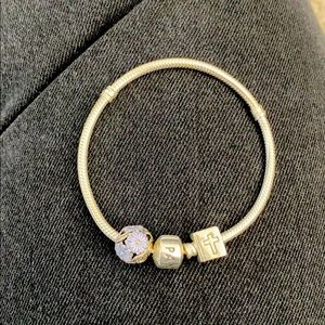Silver Pandora bracelet